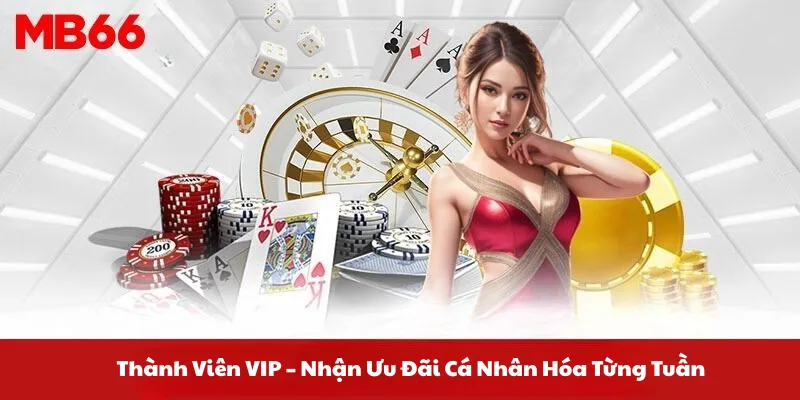 Thành Viên VIP – Nhận Ưu Đãi Cá Nhân Hóa Từng Tuần